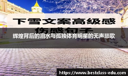 辉煌背后的泪水与孤独体育明星的无声悲歌