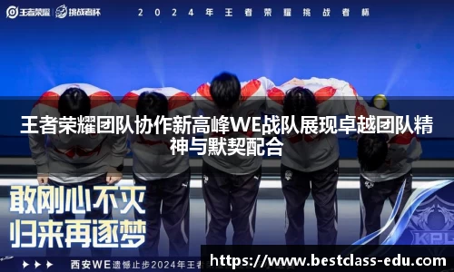 王者荣耀团队协作新高峰WE战队展现卓越团队精神与默契配合