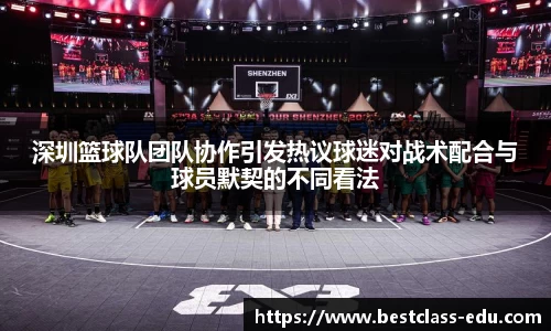 深圳篮球队团队协作引发热议球迷对战术配合与球员默契的不同看法