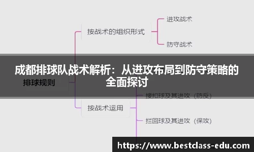 成都排球队战术解析：从进攻布局到防守策略的全面探讨